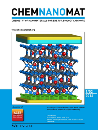 ChemNanoMat template (Wiley)