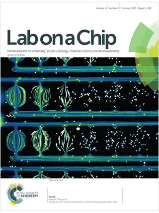 Lab on a Chip template (Royal Society of Chemistry)