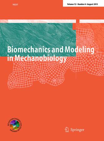 Biomechanics and Modeling in Mechanobiology template (Springer)