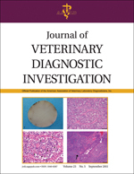 Journal of Veterinary Diagnostic Investigation template (SAGE)
