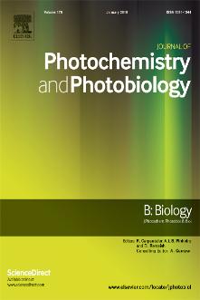 Journal of Photochemistry and Photobiology B: Biology template (Elsevier)