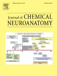 Journal of Chemical Neuroanatomy template (Elsevier)