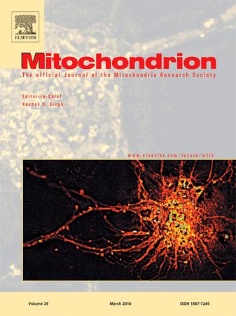 Mitochondrion template (Elsevier)