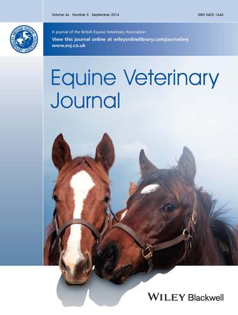Equine Veterinary Journal template (Wiley)