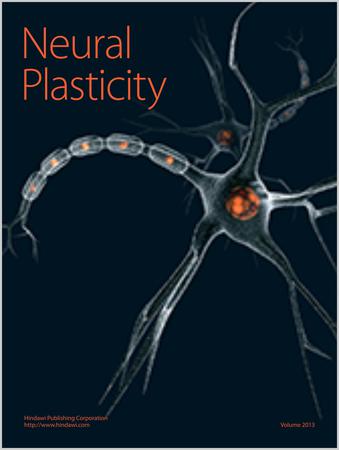 Neural Plasticity template (Hindawi)