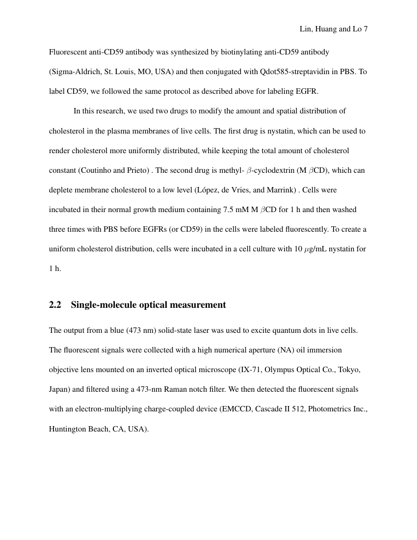 Example of Generic Template for MLA format