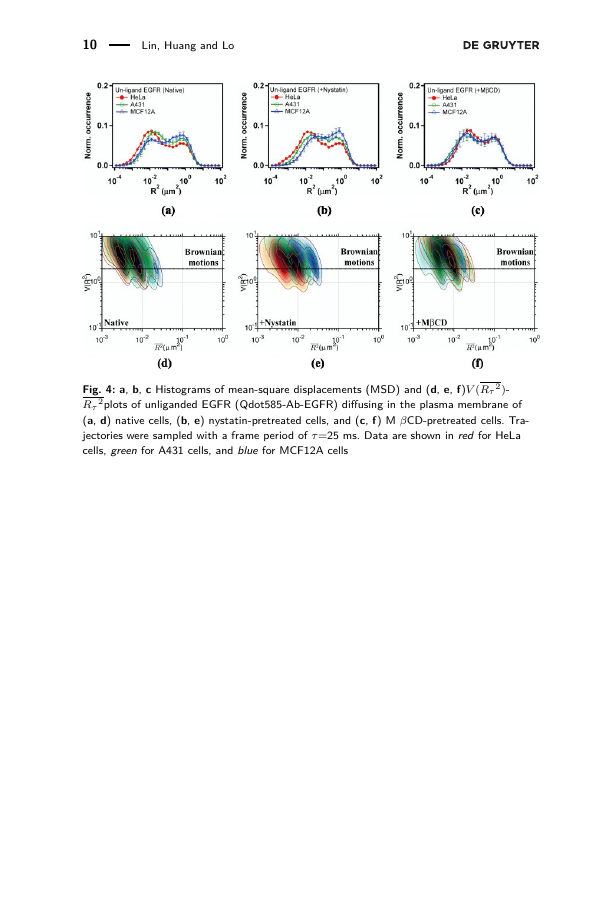 Example of Journal of Polymer Engineering format