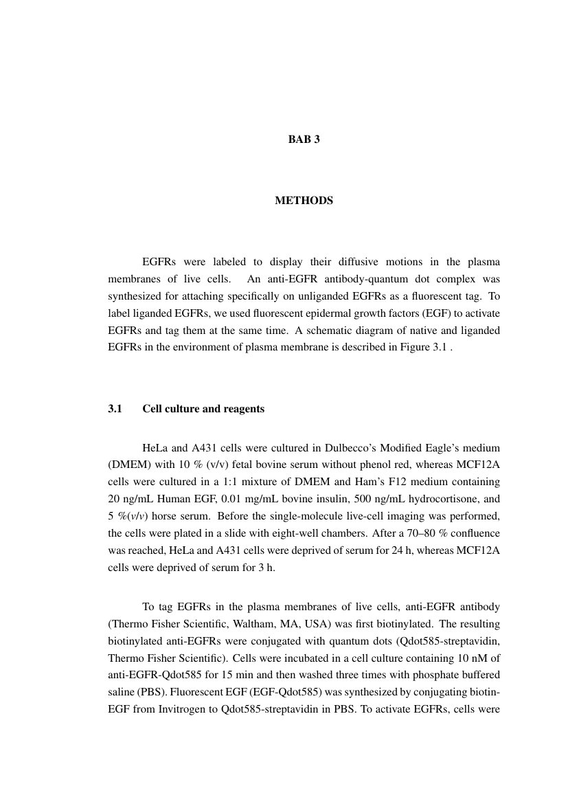 Master Sample Report Example Template for Master's Project Report (By course work) - Universiti ...