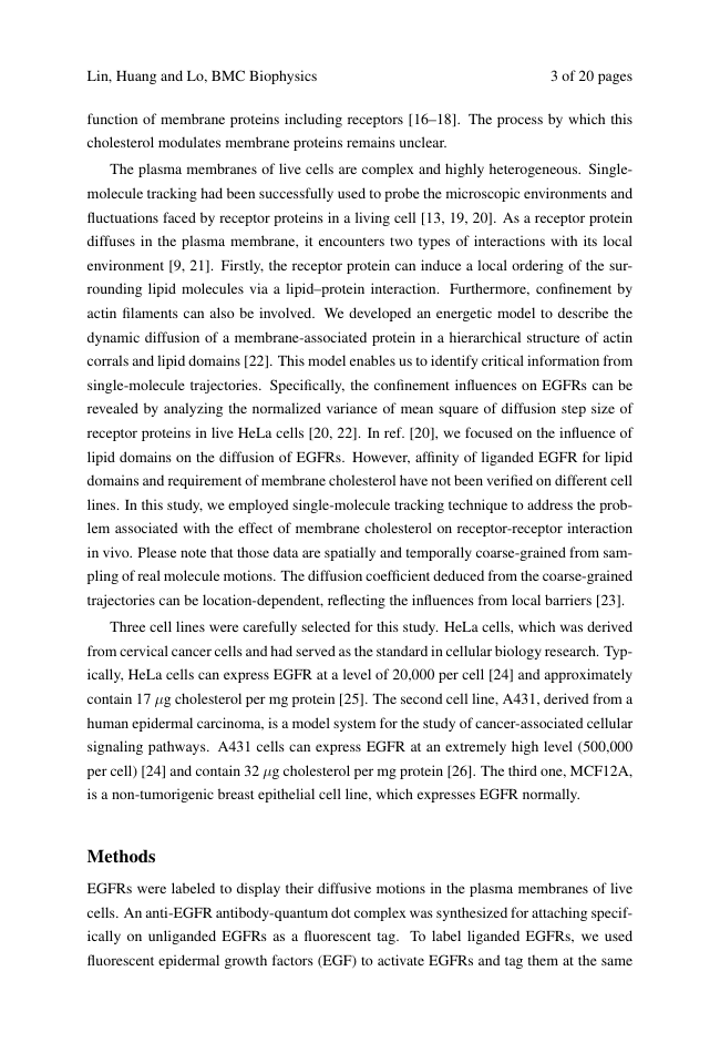 Example of Avicenna format