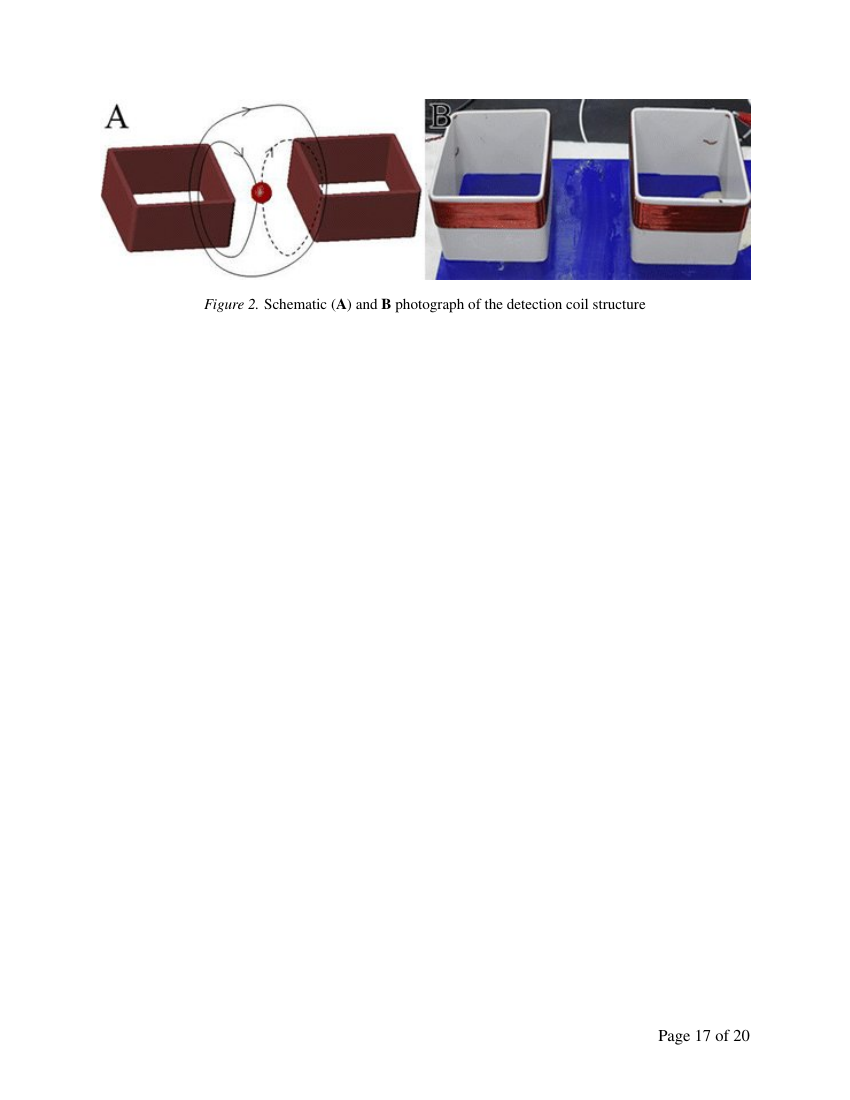 Example of Enzymology and Metabolism Journal format
