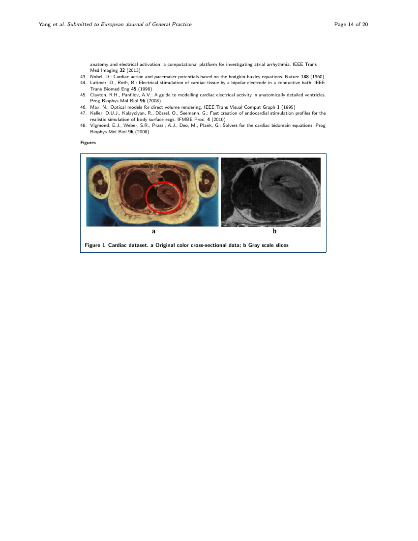 Example of Maternal Health, Neonatology and Perinatology - case reports format