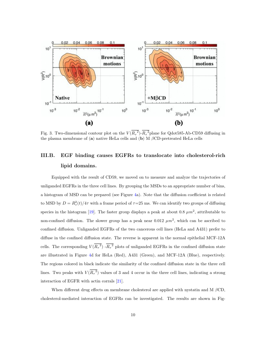 Example of Fusion Science and Technology format