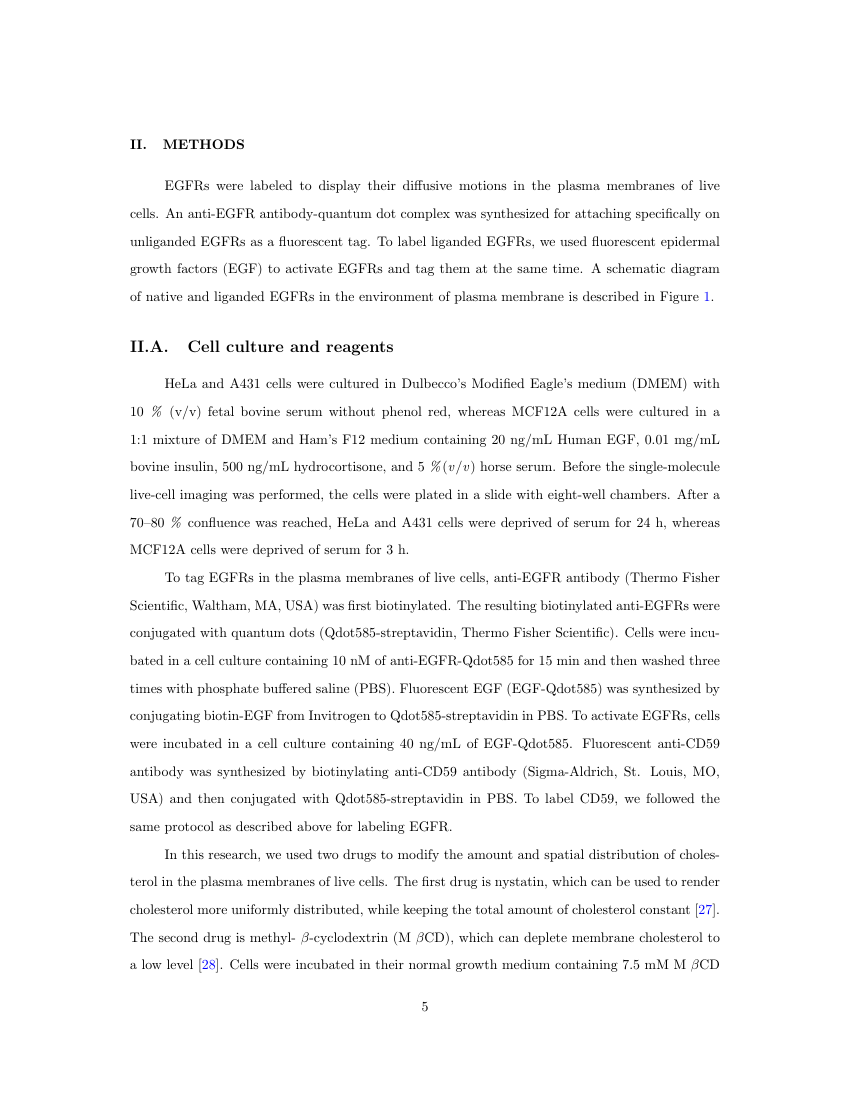 Example of Fusion Science and Technology format