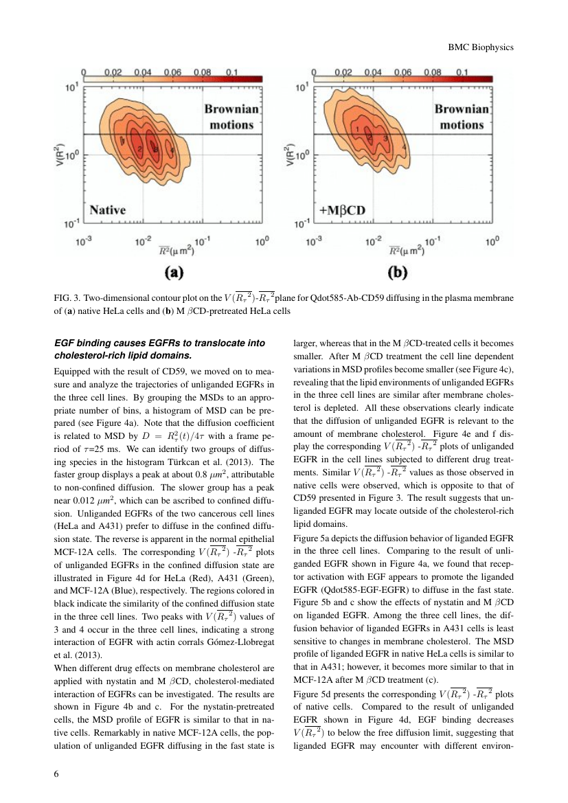 Example of Frontiers in Pathology and Genetics format