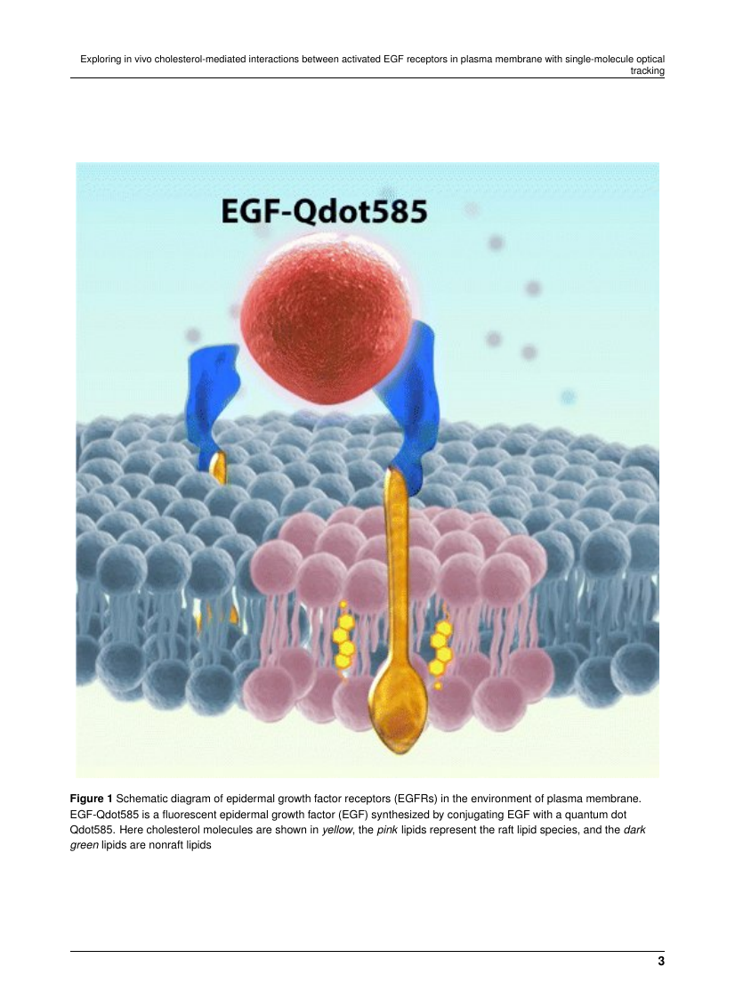 Current Optics and Photonics Template The Optical Society