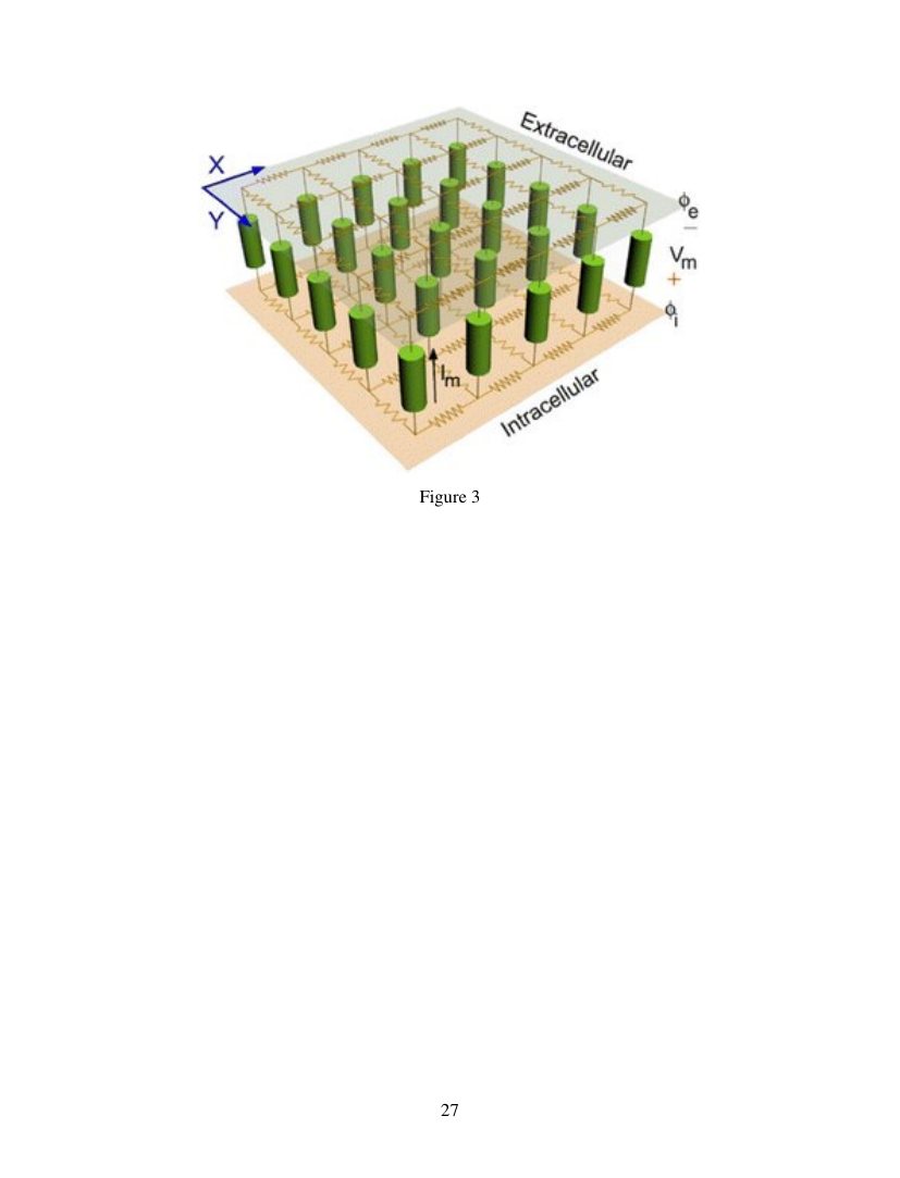 Example of Invertebrate Systematics format