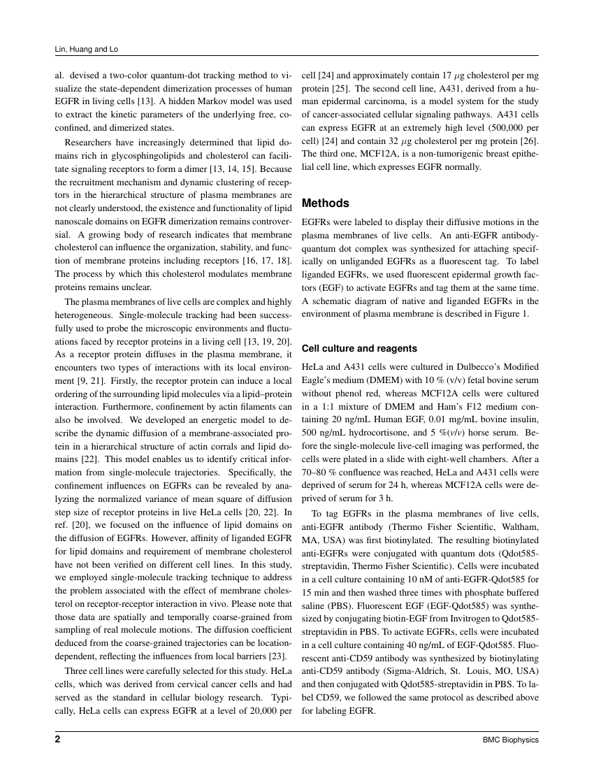 free myself essay nursing theory
